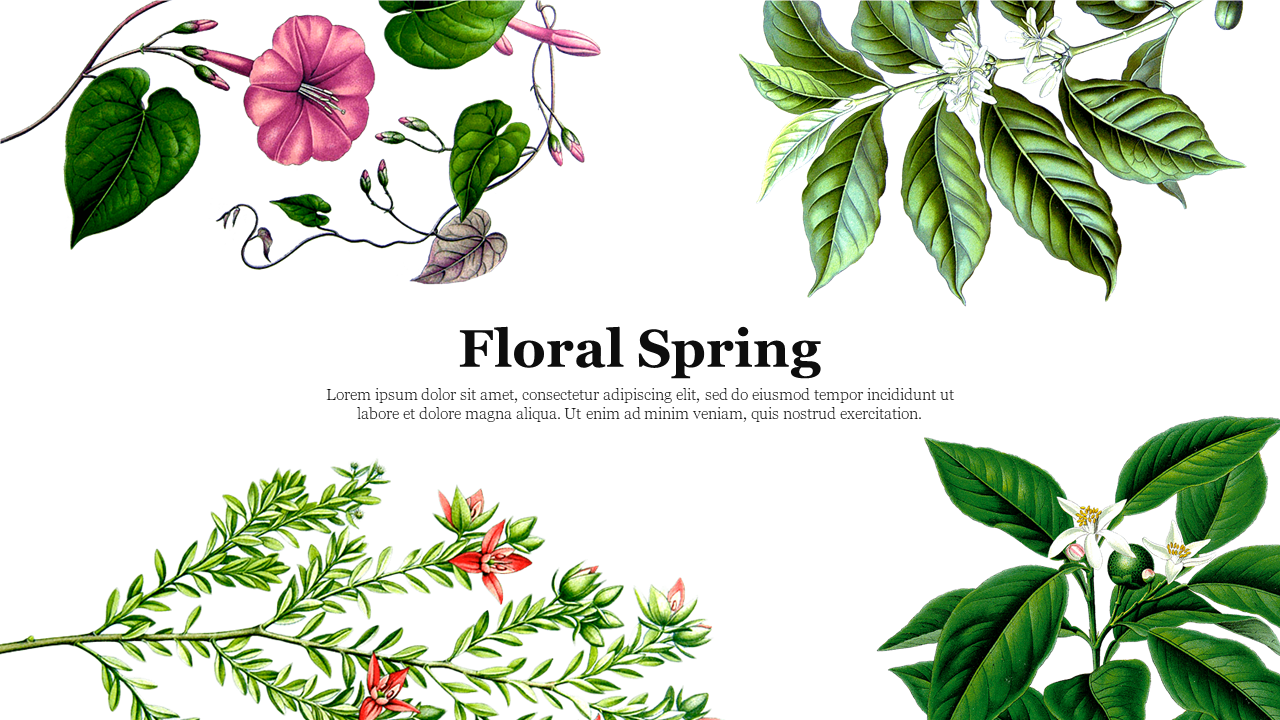 Floral Template Design